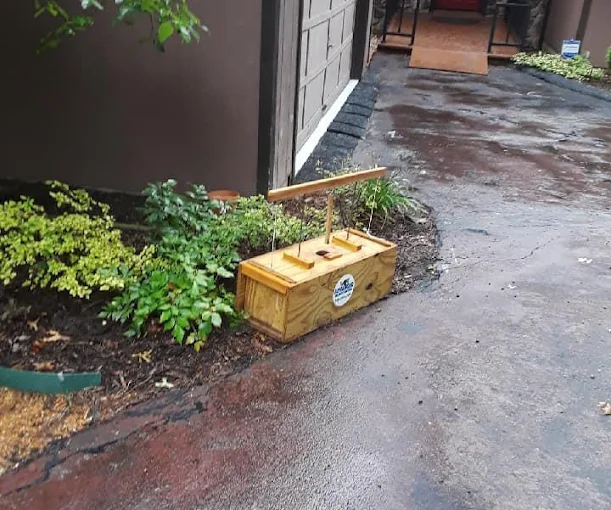 Advanced Wildlife Control — Our Work